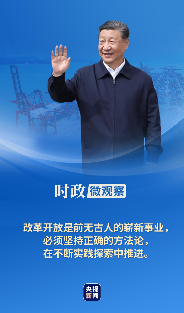 绿盖连天映碧空打一正确生肖详细解答、解释与落实、时代解答解释落实