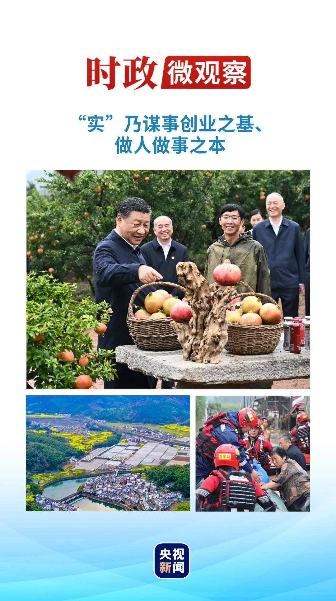 绿盖连天映碧空打一正确生肖详细解答、解释与落实、时代解答解释落实